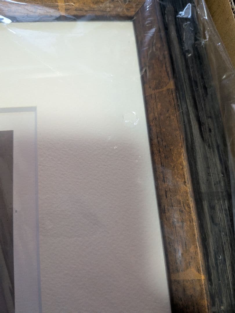 ドロヘドロ直筆サイン入り複製原画（限定50）