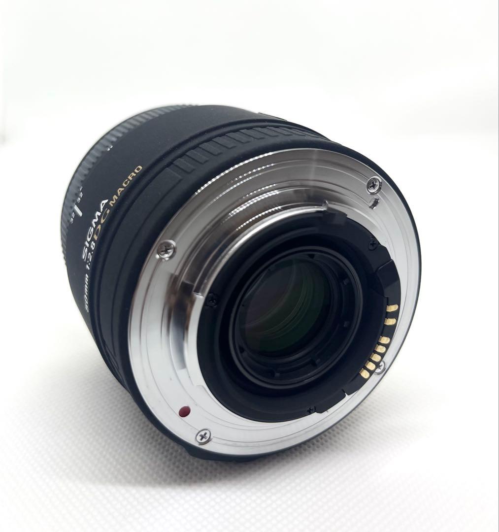 SIGMA 単焦点マクロレンズ 50mm F2.8 DG MACRO シグマ用
