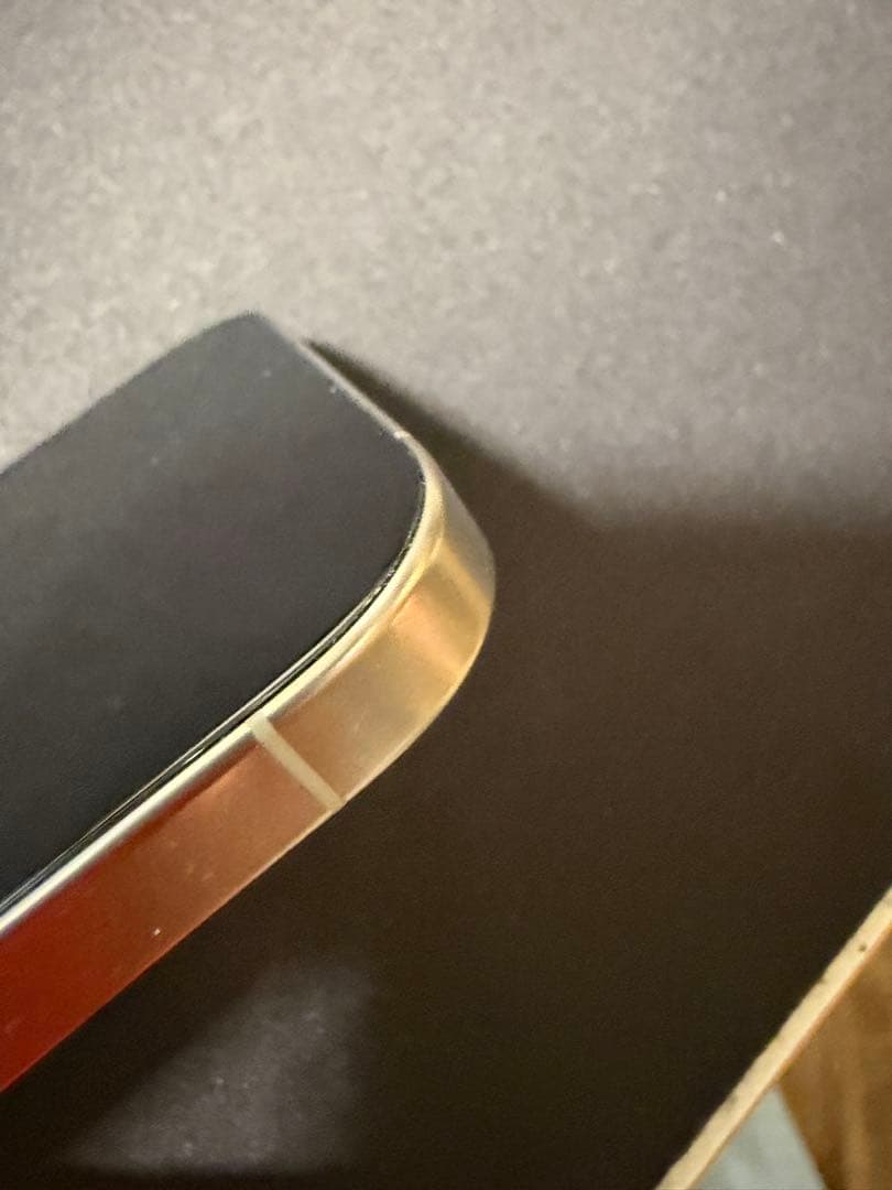 Apple iPhone 16 Pro シルバー 本体　箱は17pro