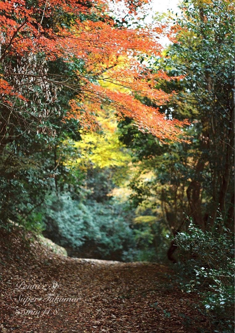 pentax sp フルセット★完動品＊美品＊初期保証付！★作例多数