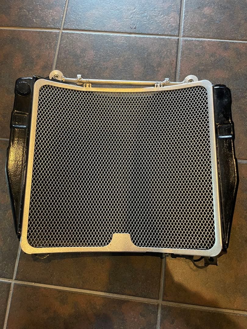 南の島　　ビッグラジエーター　ZRX1200ダエグ用