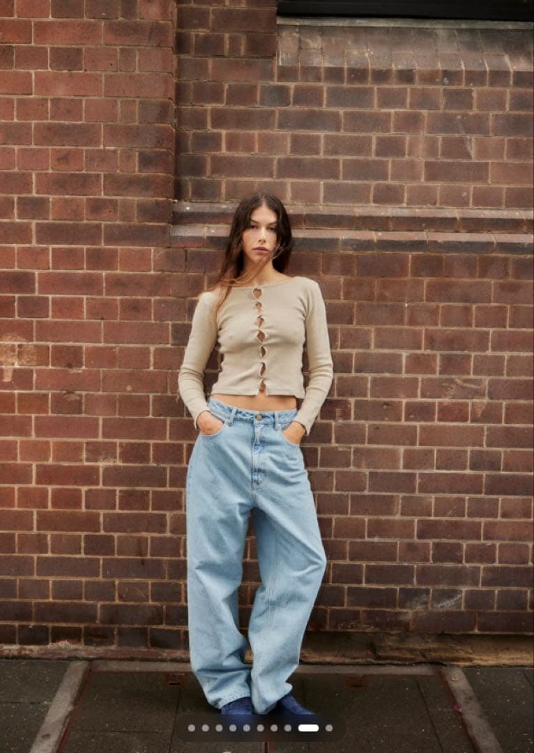 THE SHISHIKUI★ Daco / LIGHT INDIGO/ 36