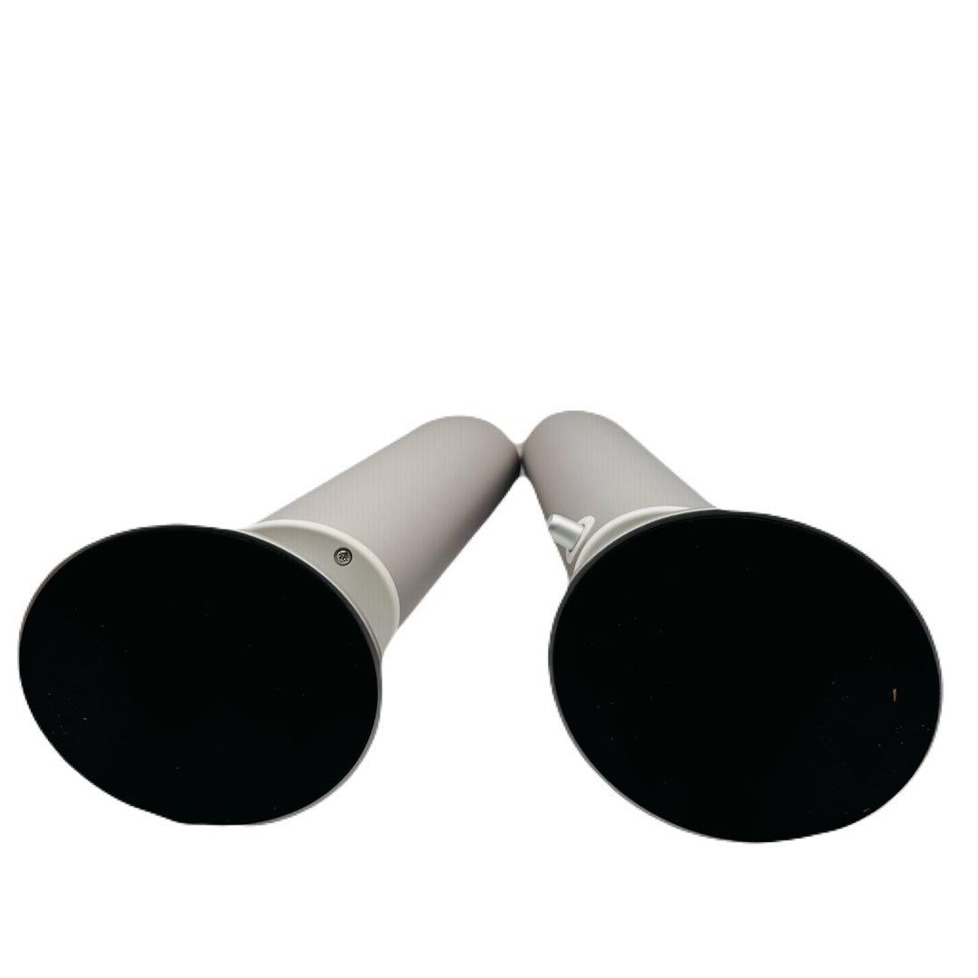 BauXar Jupity301 アンプ内蔵タワー型 タイムドメイン スピーカー