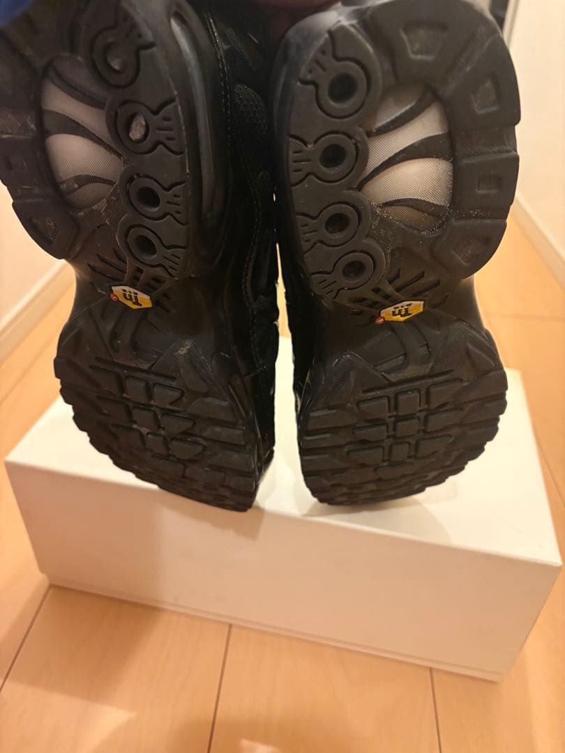 エアマックスプラス