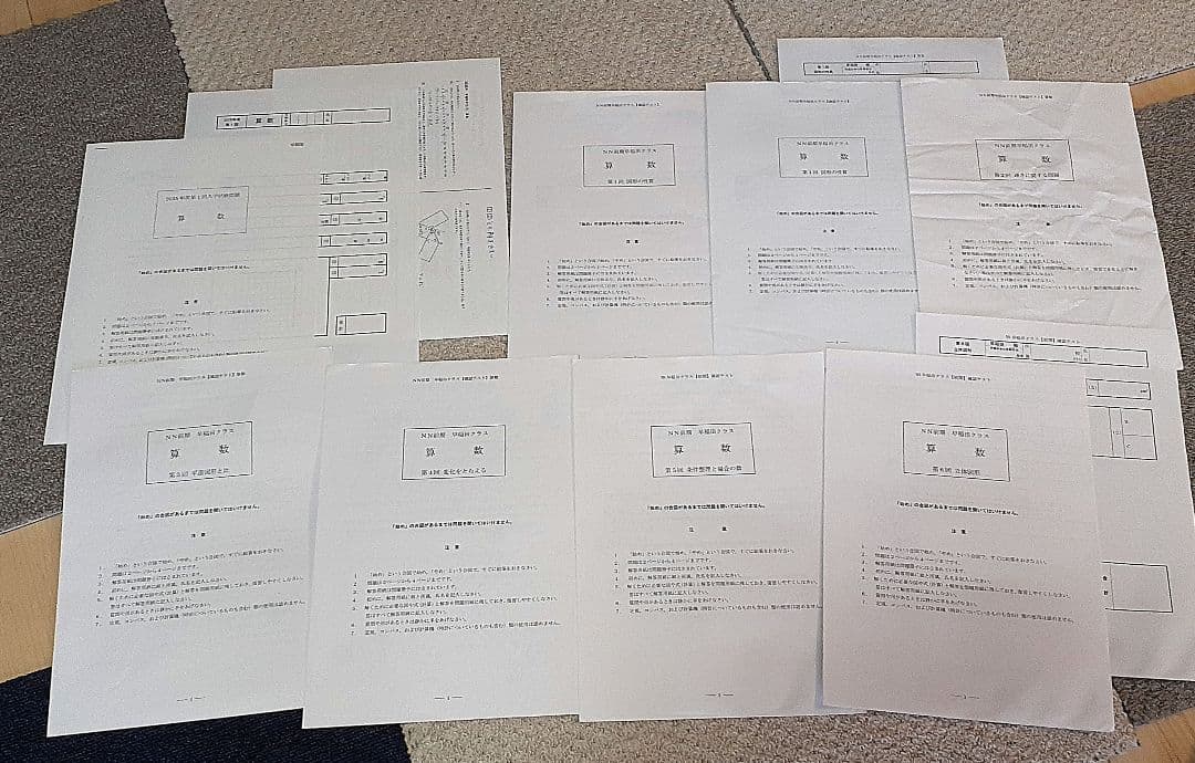 【最新版】2025年度　NN早稲田 日曜講座 前期テキスト一式　早稲田アカデミー
