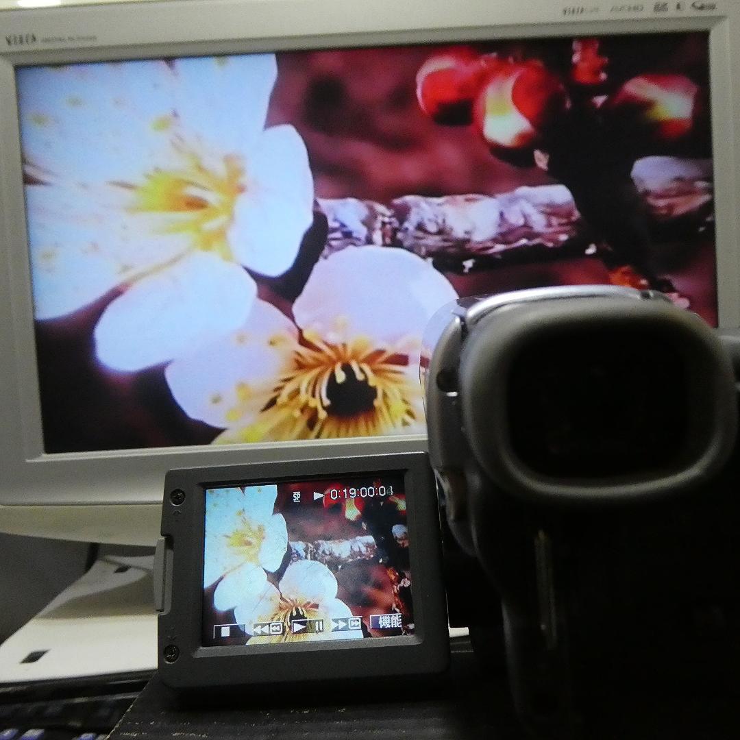 動作品 ソニーDCR-TRV33 MiniDV ビデオカメラ DVDダビングに