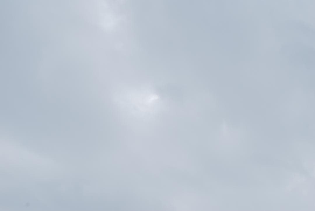 Nikon D60 　ダブルズーム（ボディはバッタ相応価格+レンズ2本の価格）