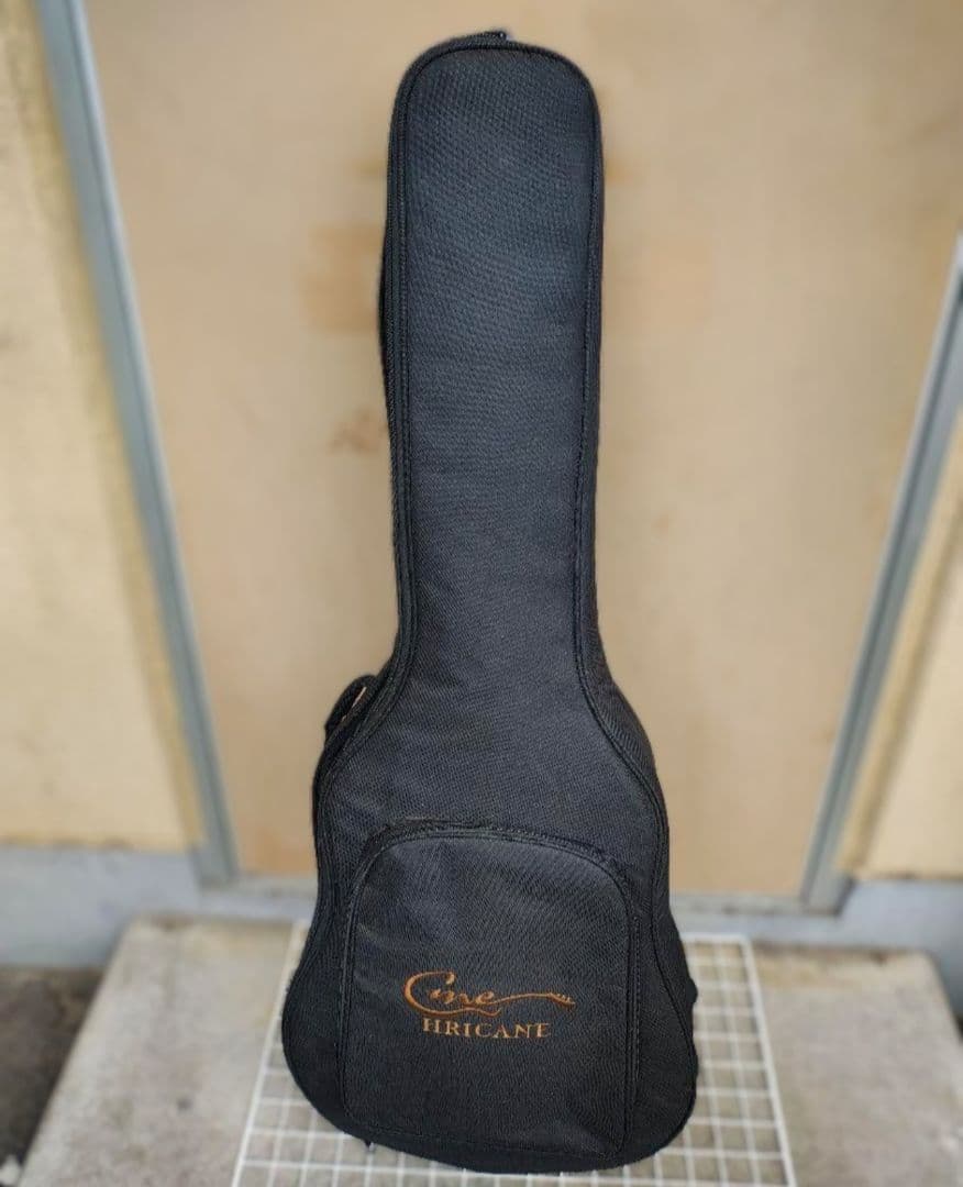 美品 Epiphone　Hummingbird Artist Wピックアップ付