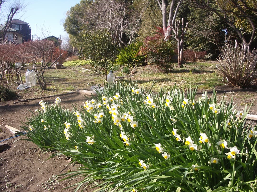 レトロ感⭕️【動作確認済】CCD PENTAX OPTIO S5iデジカメ S4i