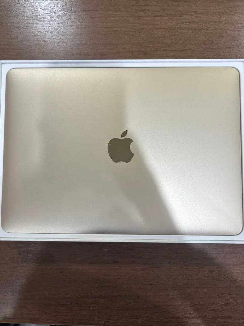 MacBook本体 Macbook 2015 (A1534) 8GB/256GB