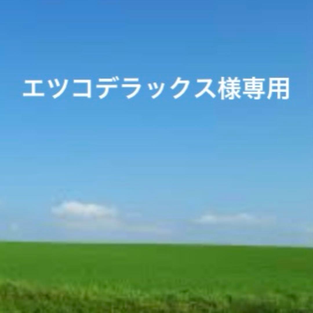 未使用HIROFUヒロフレザー二つ折り財布　センプレ　ライトグレー 「H」ロゴ