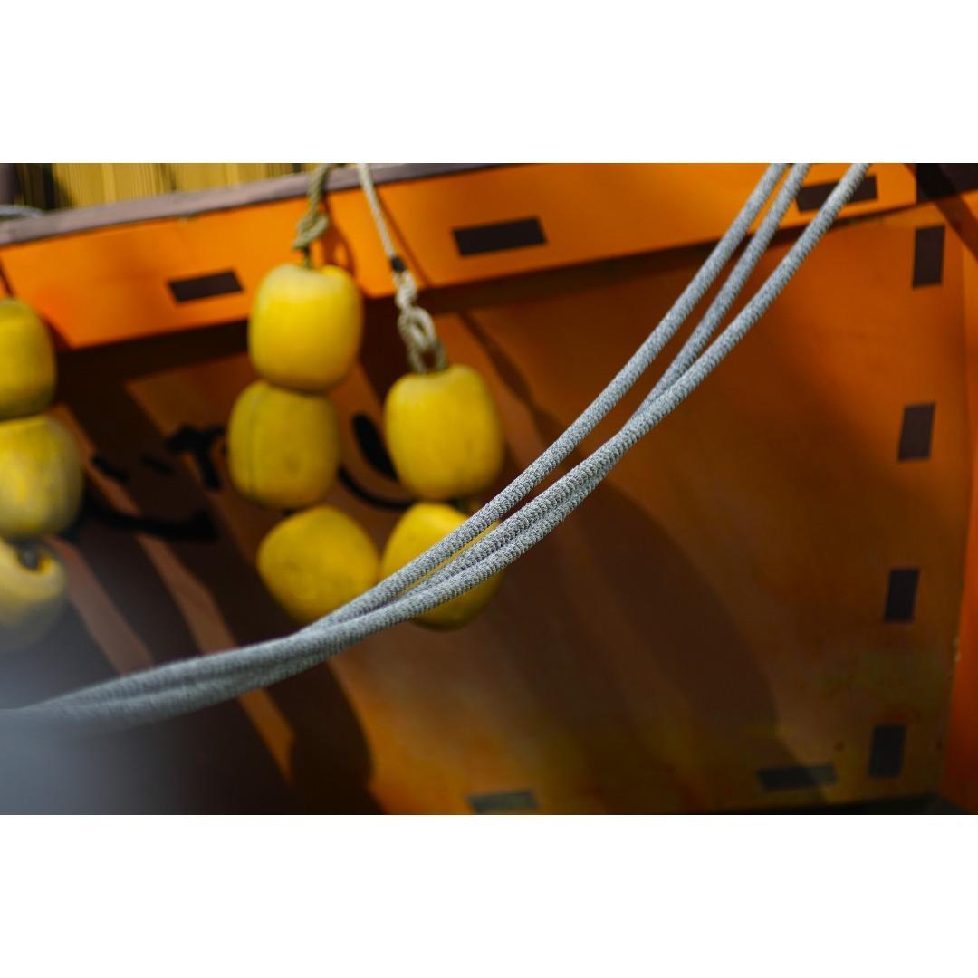 【良品/作例】Nikon AF NIKKOR 80-200mm f2.8 ED