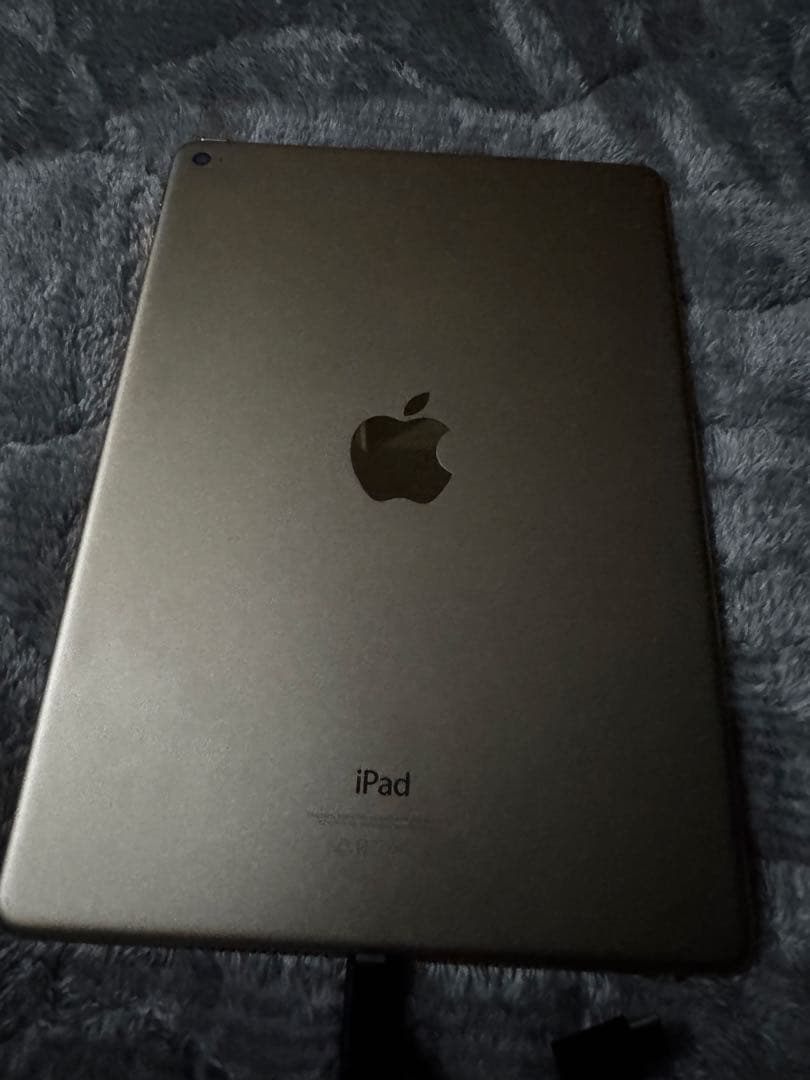 iPad本体 Apple iPad Air 2 128GB