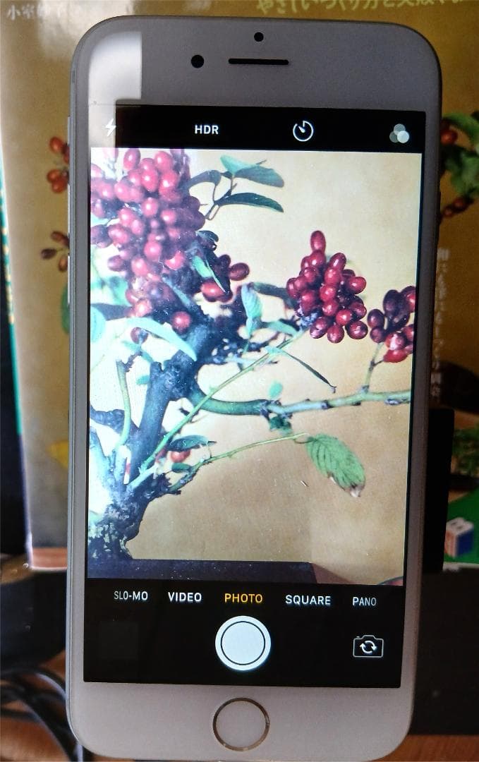 docomo iPhone 6 Silver - 極上状態 99% バッテリー