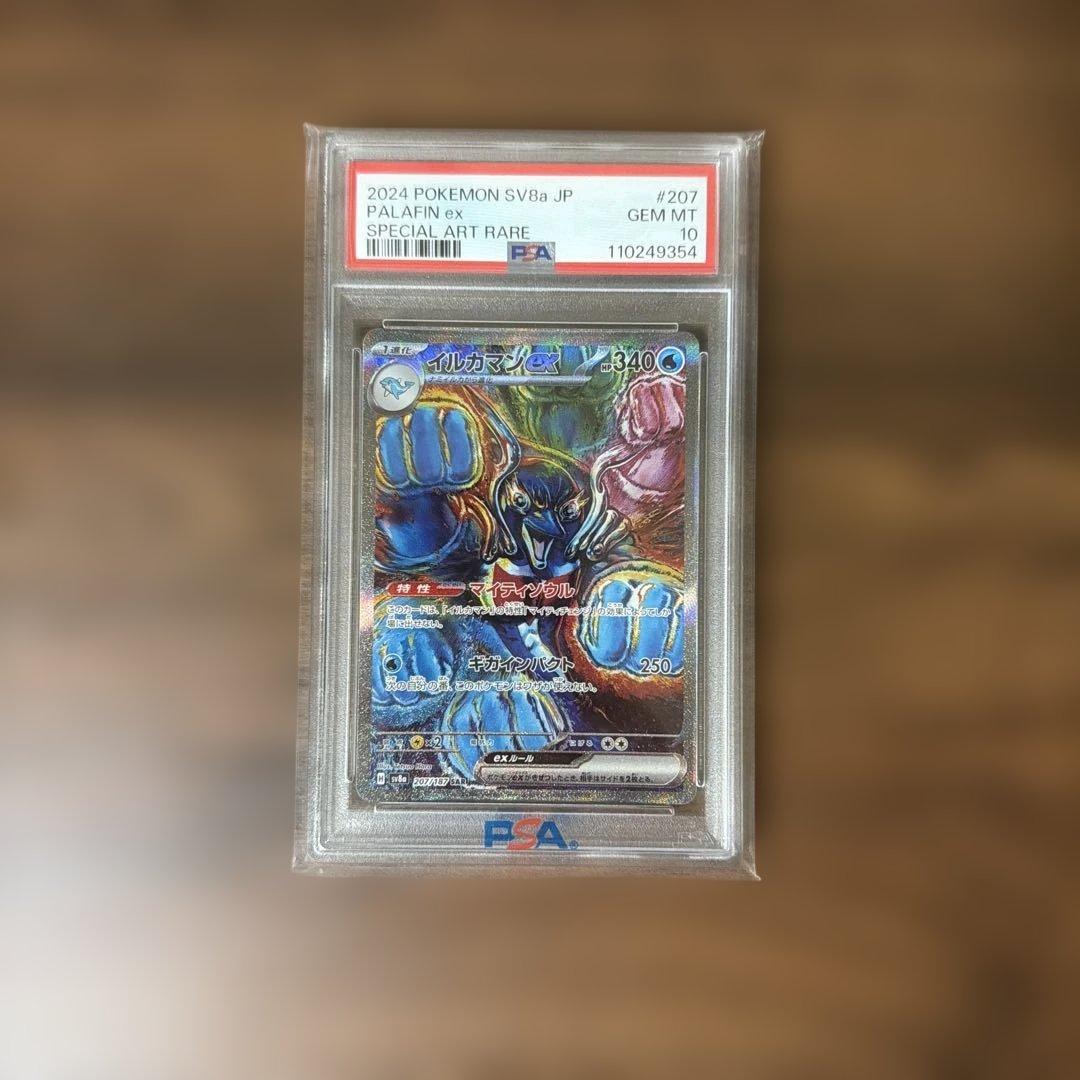 イルカマンex pas10