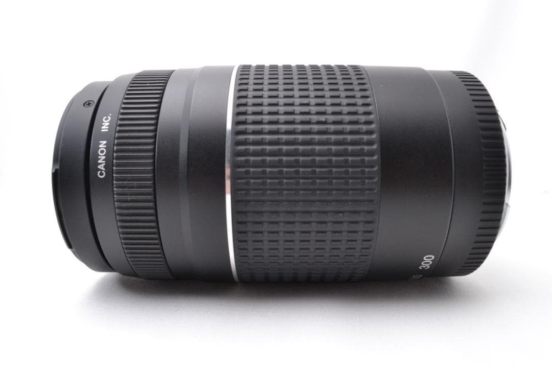 キャノン Canon EF 75-300 F4-5.6 USM Ⅲ 望遠レンズ