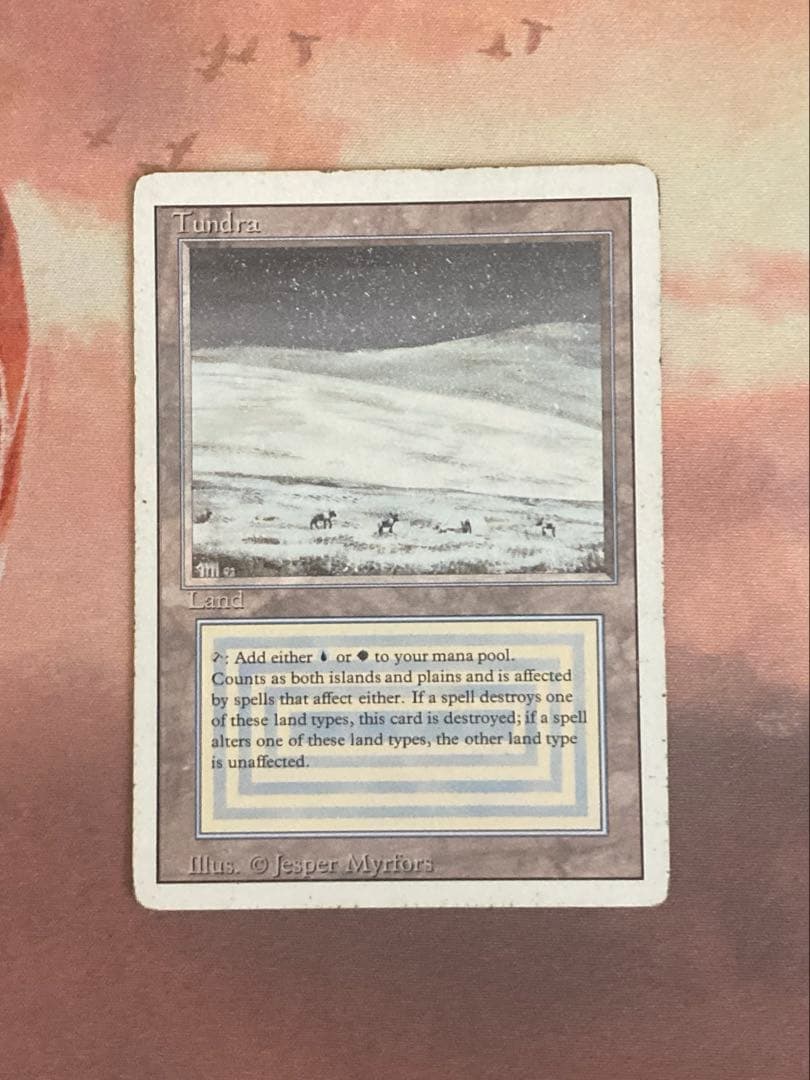 Tundra 英語 リバイズド