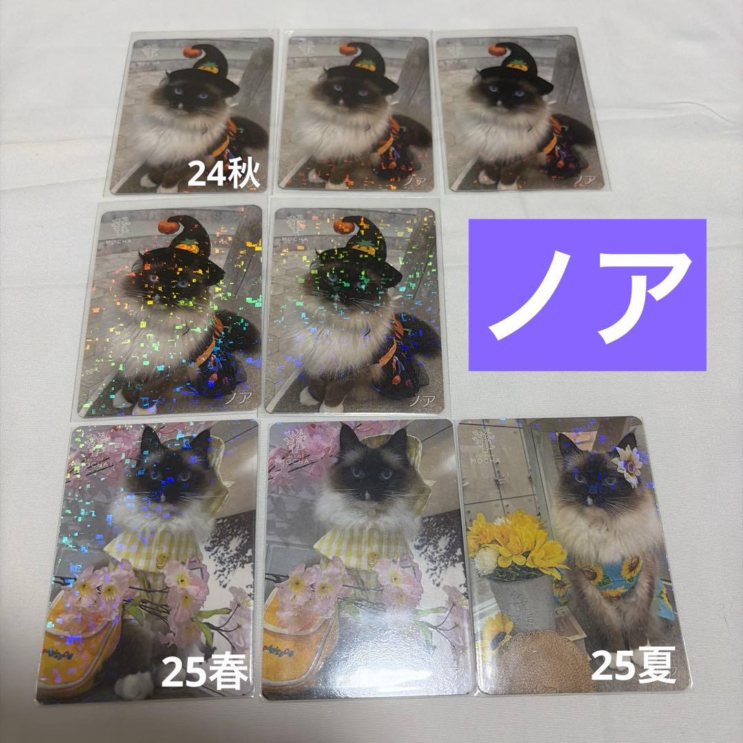 猫カフェ mocha 町田 にゃんずトレカ