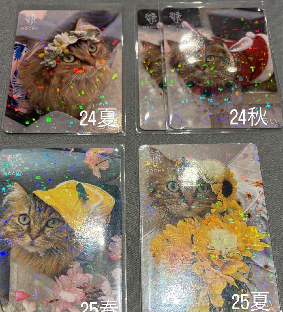 猫カフェ mocha 町田 にゃんずトレカ