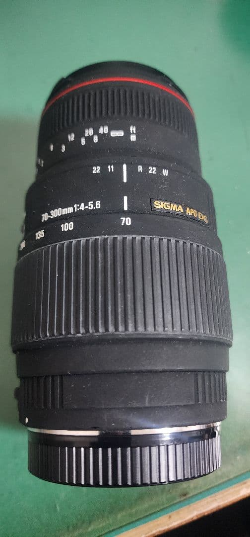 SIGMA 70-300mm F4-5.6 ズームレンズ