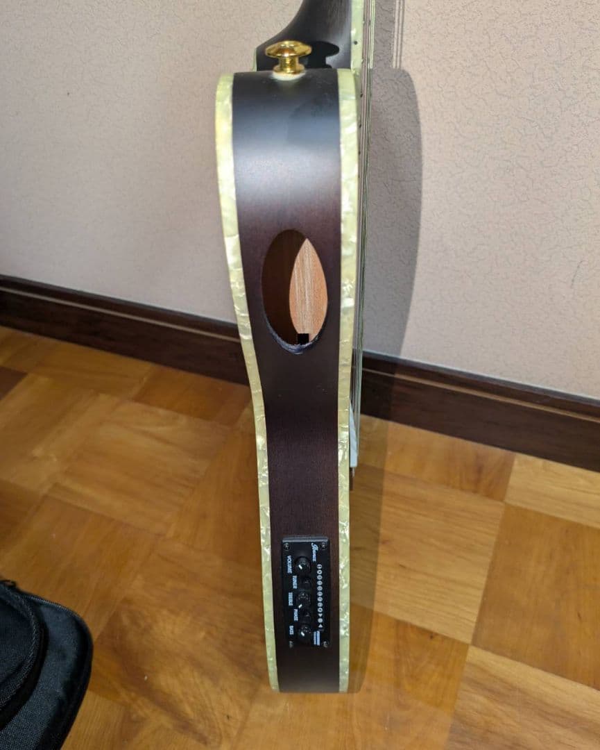 ギター ibanez TOD10N