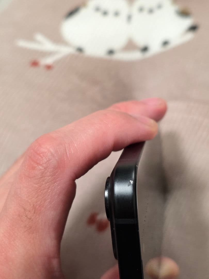 Apple iPhone 1５ ブラック 本体