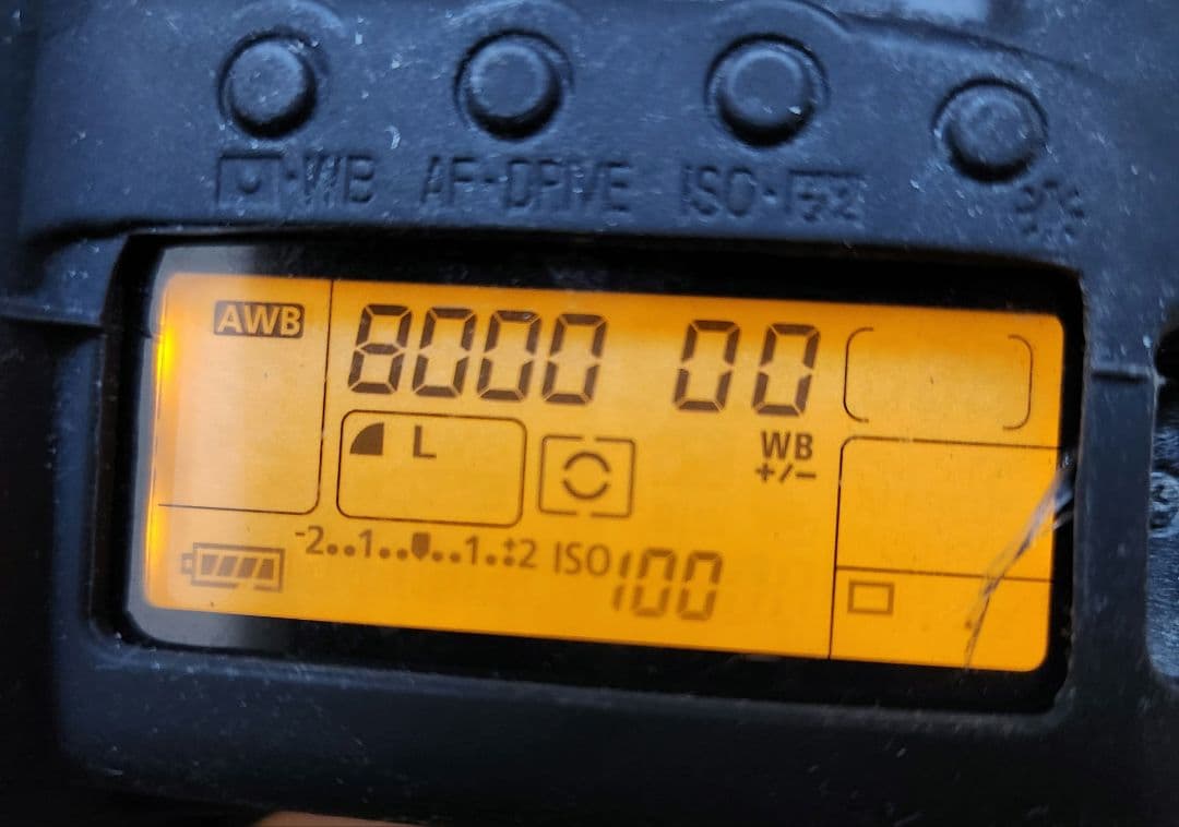 Canon EOS 5D Mark II シリコンカバーとバッテリーグリップ付き