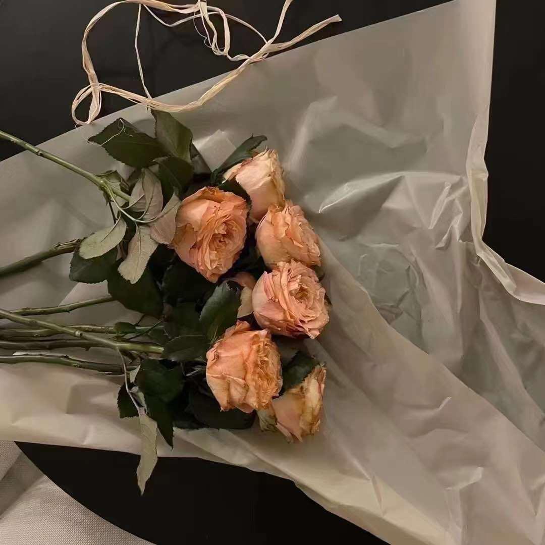 さだっこ⭐︎プロフィール必読⭐︎　MDL BLK M