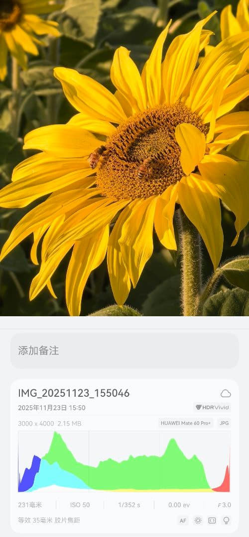 【美品】HUAWEI Mate60pro plus