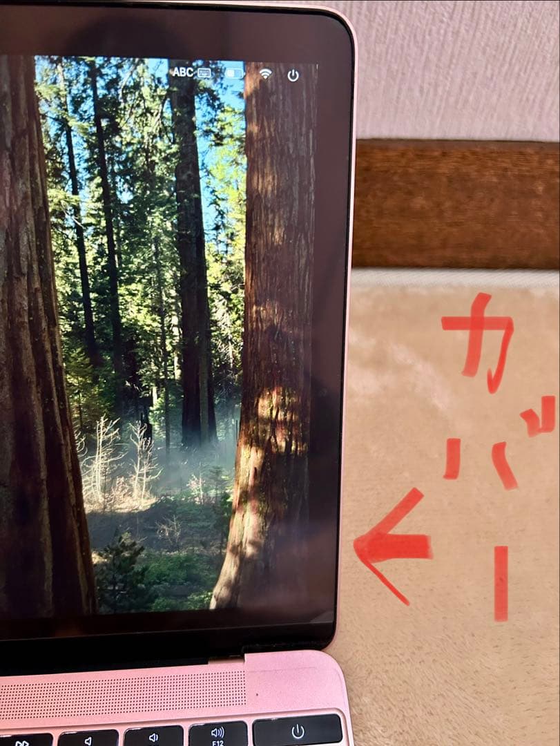 訳あり MacBook 12㌅ 2016 ローズゴールド 8GB 外付SSD起動