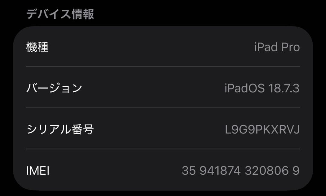 iPadPro 256GB第5世代Cellular MagicKeyboard