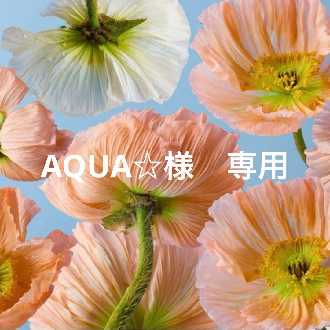 AQUA☆　インディゴブルー24