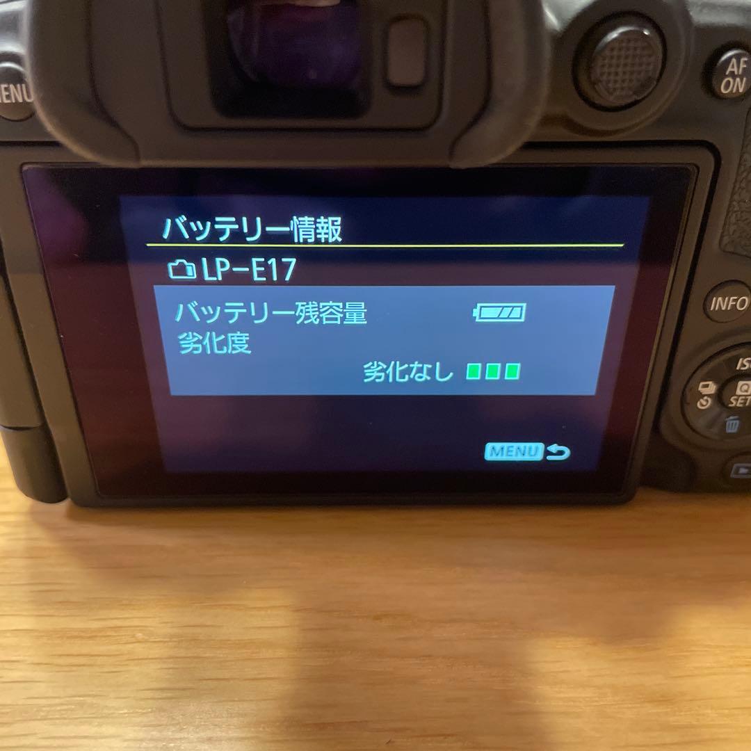 Canon EOS R10 (キットレンズ無し)