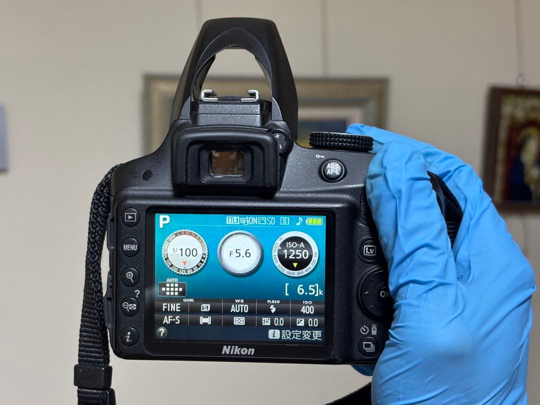 Nikon D3300 レンズキット 動作確認済 ショット数3288 レンズカビ