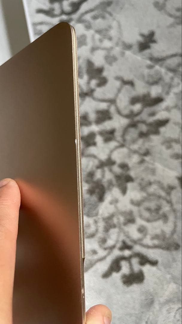 ジャンクMacBook 12インチ2015モデル500GB MacOS　本体と箱