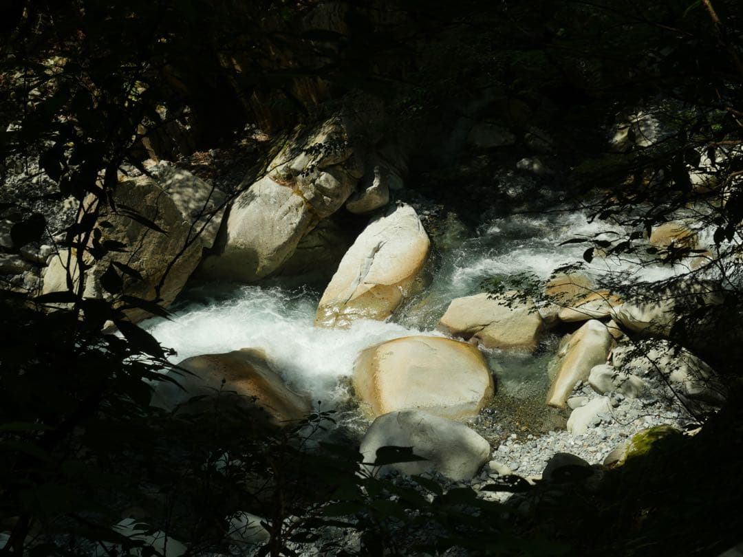 Panasonic LUMIX GX8 ミラーレスカメラ 15mmレンズ付き