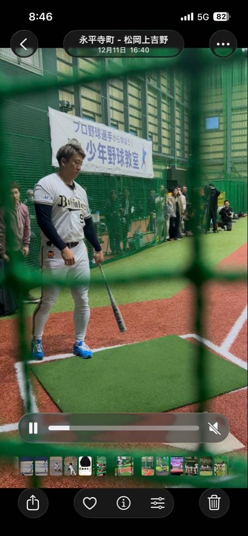 大　青ワニ　82センチ　少年用