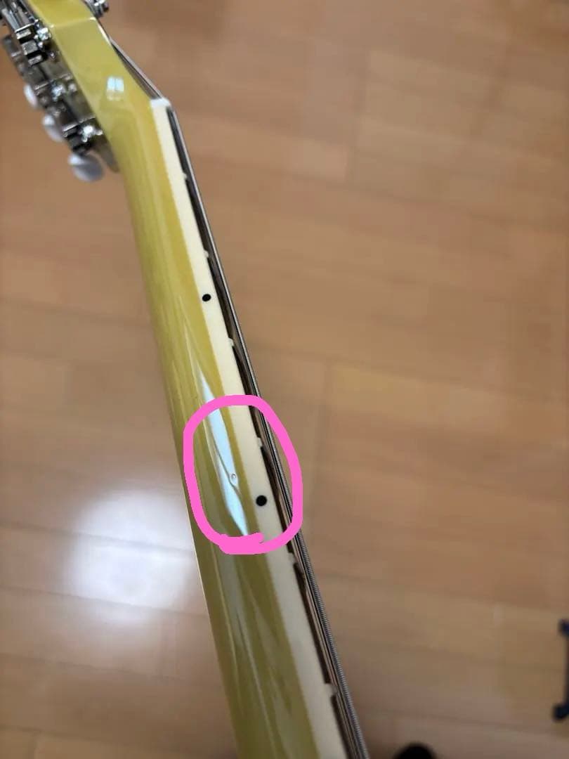 2025年製 Gibson Les Paul Special