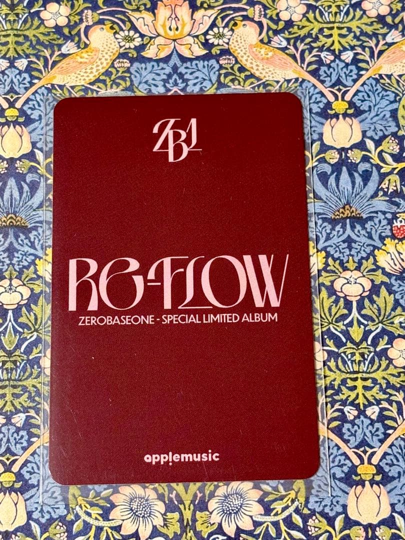 zb1 トレカ ジャンハオ RE-FLOW トレカ applemusic