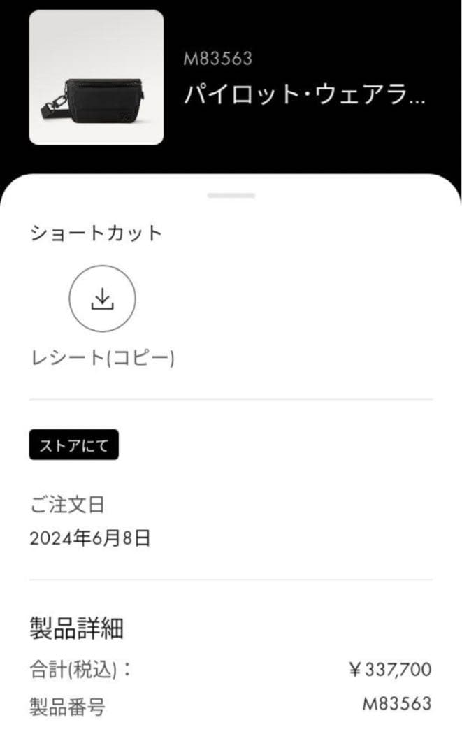 極美品　ルイヴィトン　LV パイロット　ウェアラブル　ウォレット　黒　4K32