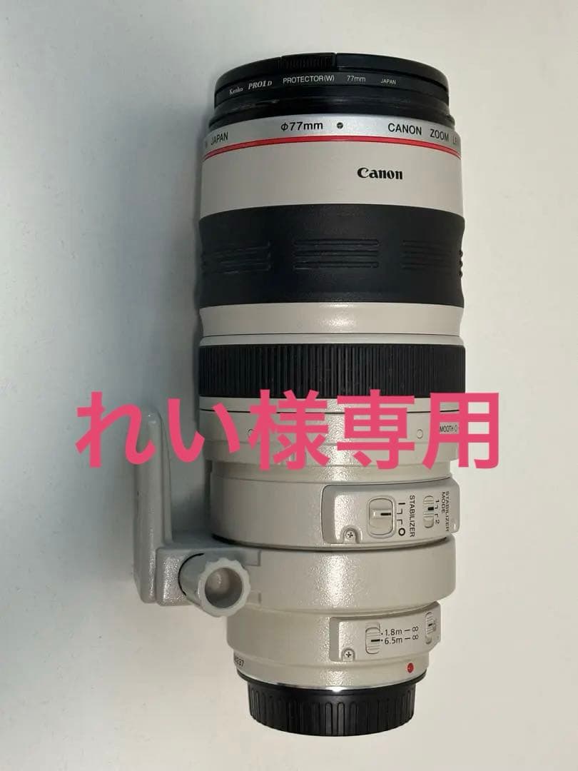 EF100-400mm F4.5-5.6L IS USM 望遠レンズ　白フード付