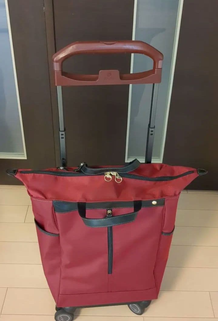 ソエルテ　アルディート　キャリーバッグ　20Ｌ　ショッピング カート キャリー