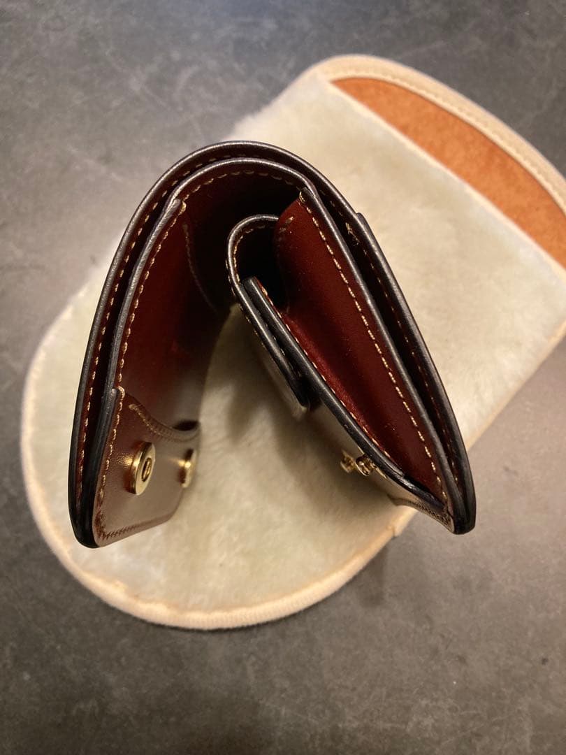 ワイルドスワンズ　CASA 限定色　バーガンディ