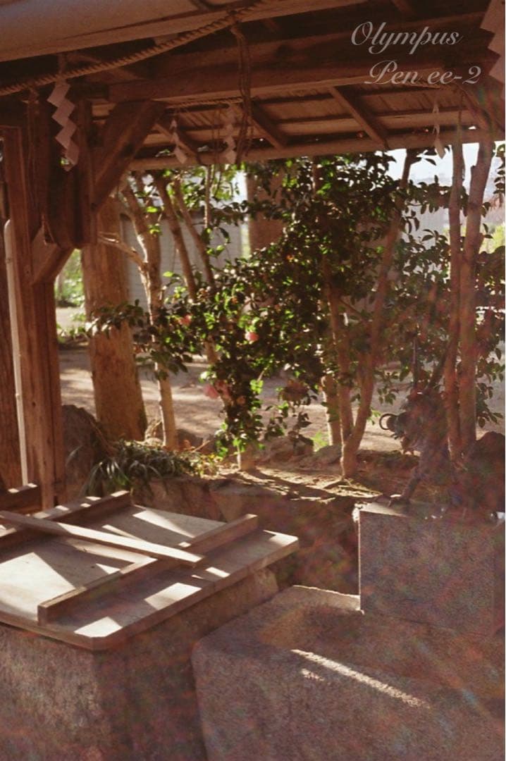 ★フィルム入門♪超美品！オリンパスPen EE-2★完動品＊初期保証＊作例多数