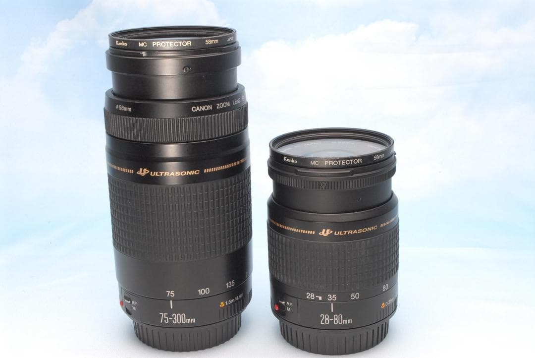 ✨超コスパ✨キヤノン EOS 8000D ダブルレンズ 超望遠 初～中級者にも