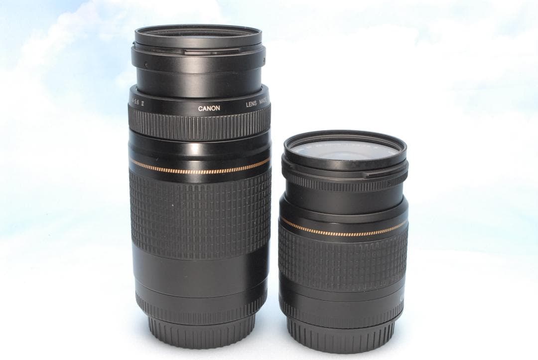 ✨超コスパ✨キヤノン EOS 8000D ダブルレンズ 超望遠 初～中級者にも