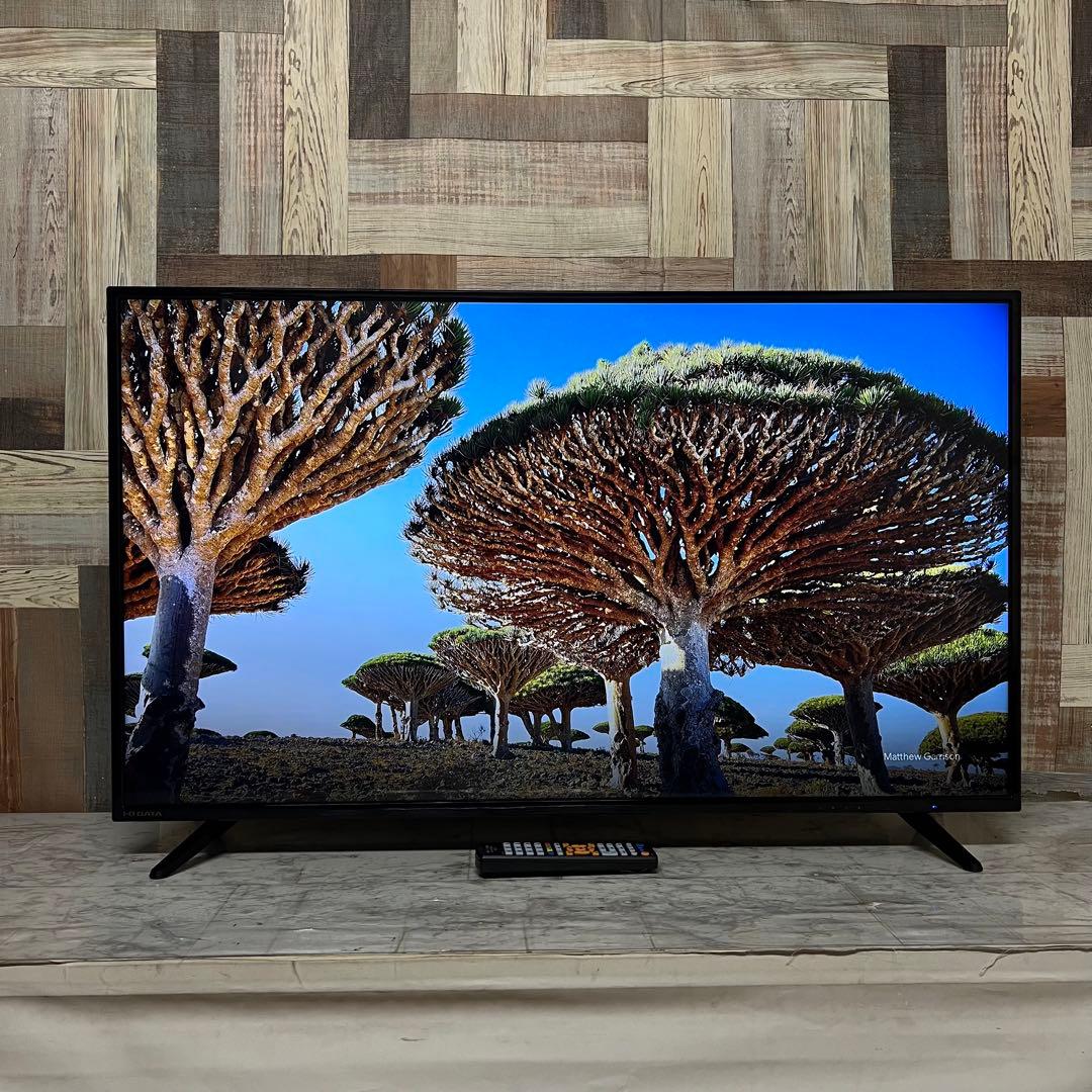 即日受渡❣️全国送料込アイオーデータ43型4K液晶モニター広視野角ブルーライト減