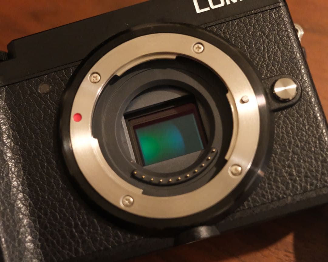 猫*ら様 Panasonic LUMIX DC-GX7MK3 レンズ3本付き