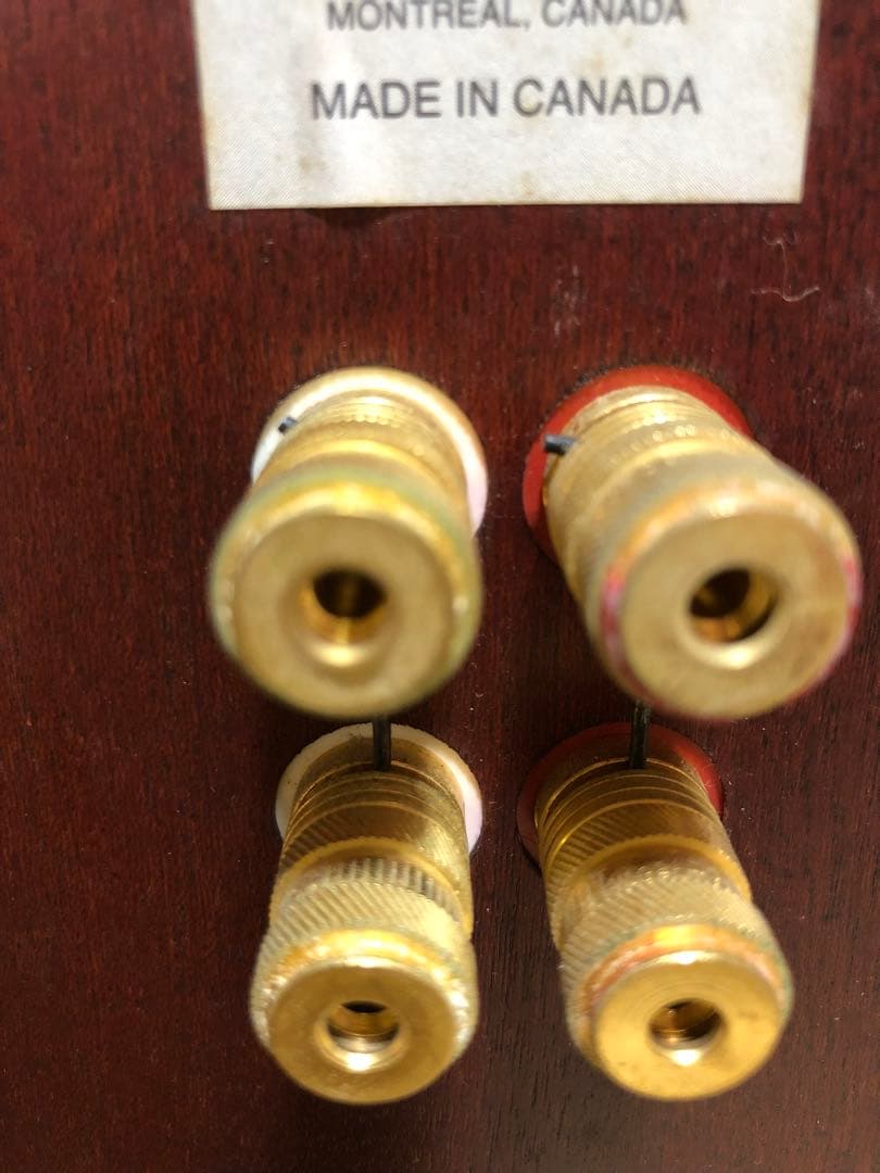 TOTEM ACOUSTIC MODEL1 スピーカー