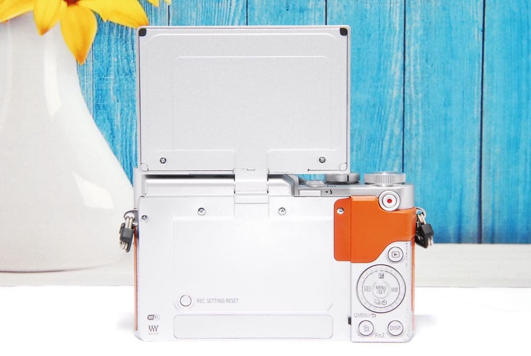 ショット数611回 LUMIX GF9 SNS Wi-Fi チルト ミラーレス